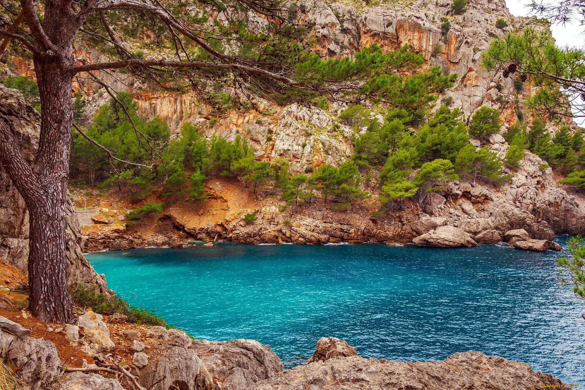 majorka, spain, , 